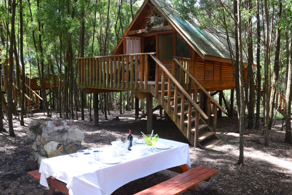 Plett Forest Cabins In Harkerville Garden Route