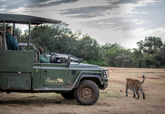 Pumba Msenge Bush Lodge