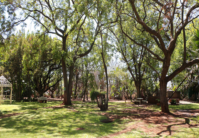 Pumulani Lodge in Kameeldrift, Gauteng