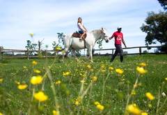 Redberry Farm