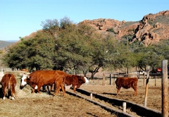 Red Stone Hills