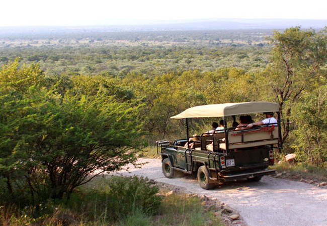 Game Drives