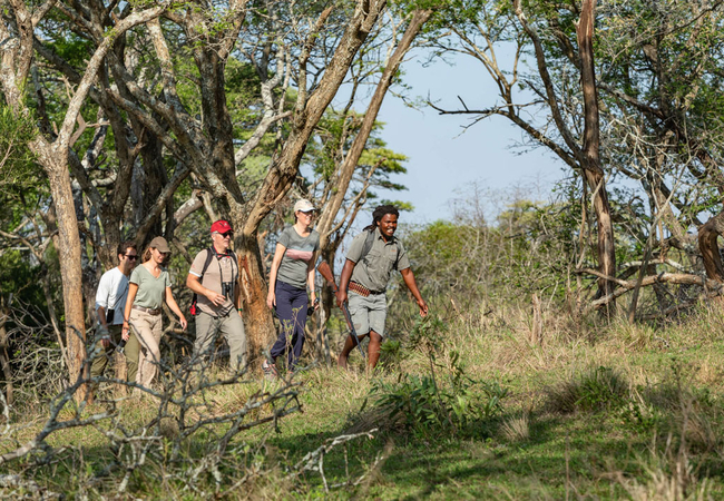 Rhino Ridge Safari Lodge in Hluhluwe, KwaZulu Natal