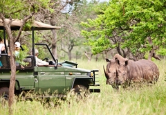 Rhino River Lodge