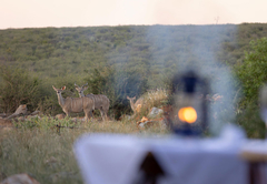 Rhulani Safari Lodge