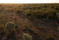 Rhulani Safari Lodge