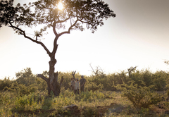 Rhulani Safari Lodge