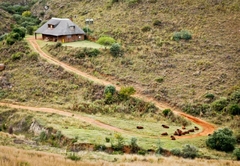 Ribbokkloof Holiday Farm