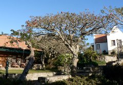 Sandymount Cottage