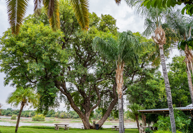 River Bank Lodge