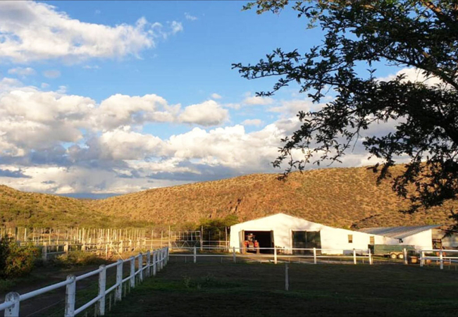 Riverdene Farm Lodge