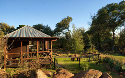 Dragonfly Cabin