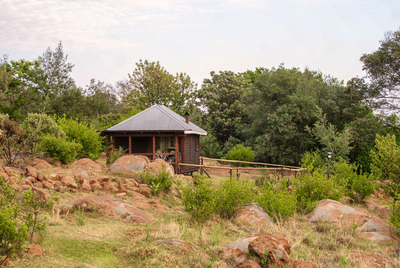 Dragonfly Cabin