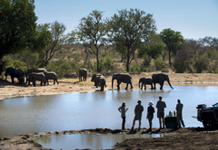 RockFig Safari Lodge