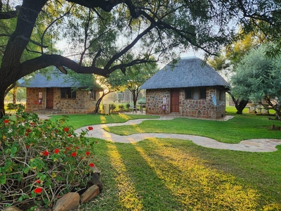 Rocking Giraffe Bush Lodge