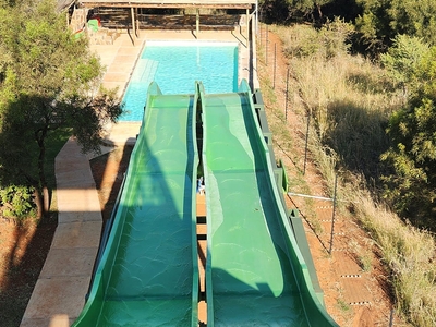 Rocking Giraffe Bush Lodge