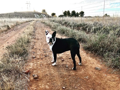 Rondefontein Guest Farm