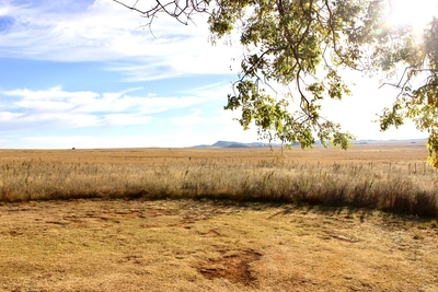 Rondefontein Guest Farm