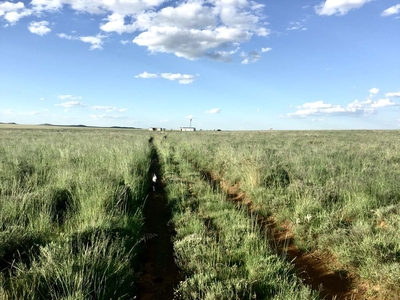 Rondefontein Guest Farm