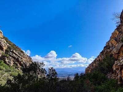 Rooiberg Wild Private Game Reserve