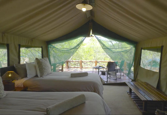 Glamping Safari Tent Twin Beds