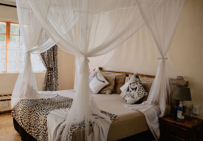 CHEETAH ROOM