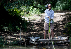 Royal Thonga Safari Lodge