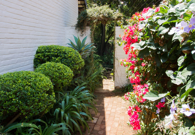 Path leading to Cottage