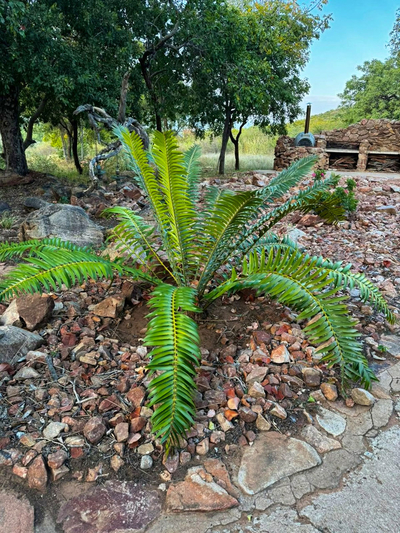 Sabella Bushveld Lodge