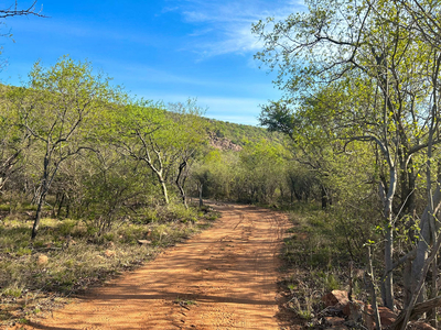 Sabella Bushveld Lodge