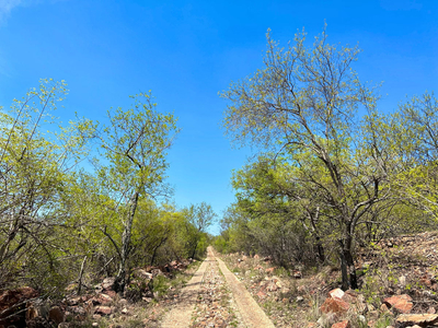 Sabella Bushveld Lodge