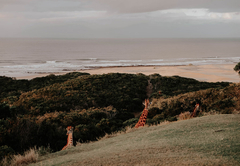 Sandcastle Wedding Venue