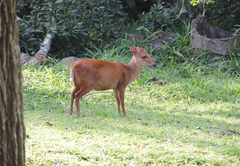 Sandpiper Guest House