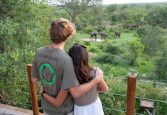 African-Style Luxury Safari Tent 