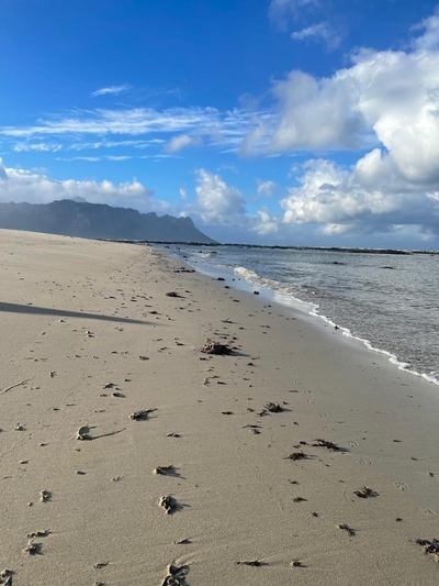 Sea Esta On Beach