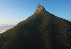 Lions Head 