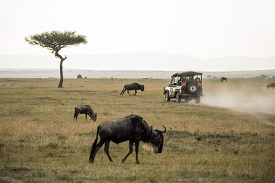 Sediba Mountain Lodge