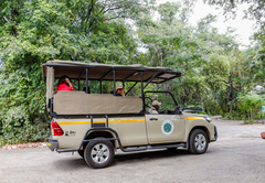 Sefapane Lodge & Safaris