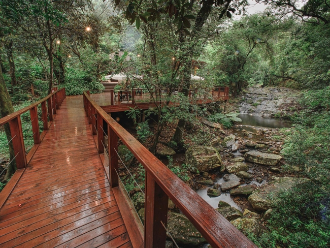 Serenity Mountain and Forest Lodge  