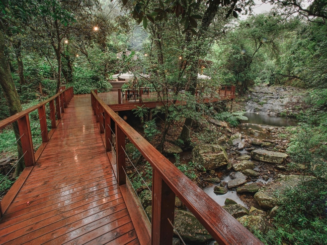 Serenity Mountain and Forest Lodge  