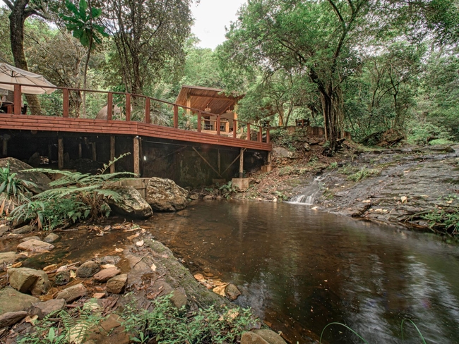 Serenity Mountain and Forest Lodge  