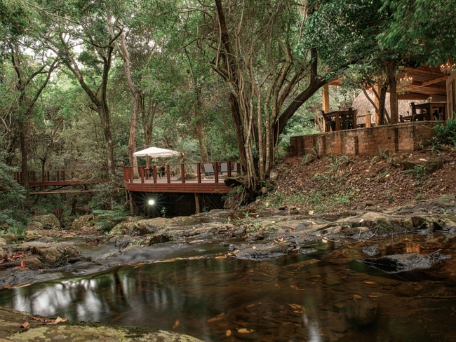 Serenity Mountain and Forest Lodge  