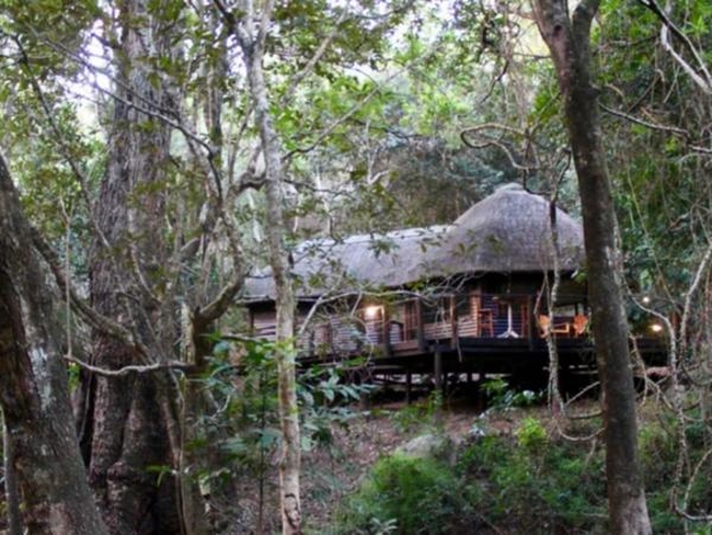 Serenity Mountain and Forest Lodge  