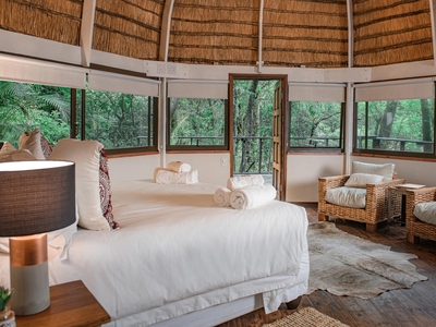 Luxury Forest and River View Suites