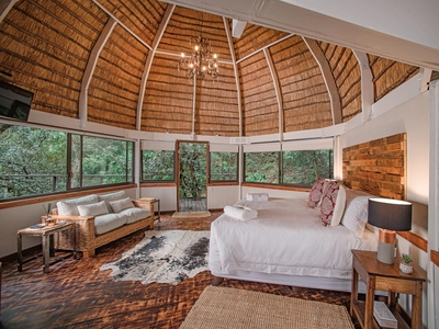 Luxury Forest and River View Suites