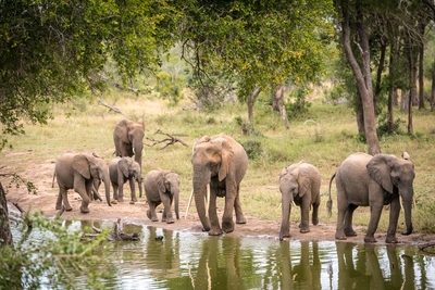 Serondella Safari Lodge