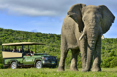 Shamwari Long Lee Manor