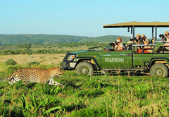 Game Drive