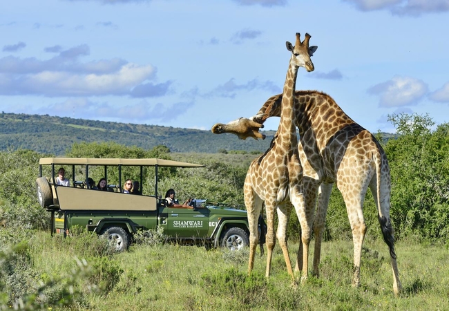 Game Drive