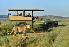 Game Drive